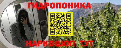 трава Ирбит
