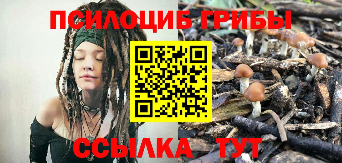 Галлюциногенные грибы Magic Shrooms  Вход с VPN  Кувандык 